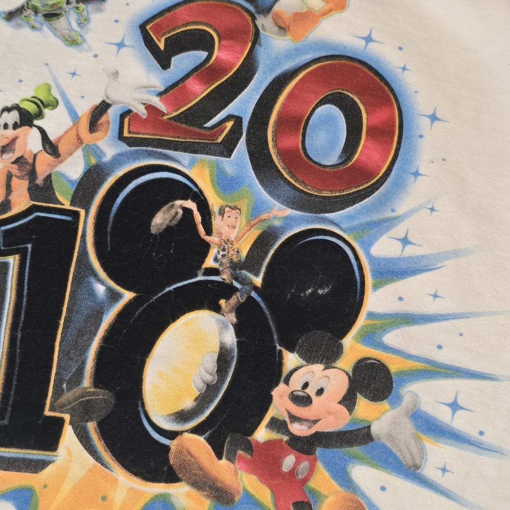 Walt Disney Land t shirt size M Hanes 2010 Mickey Donald Goofy Pluto